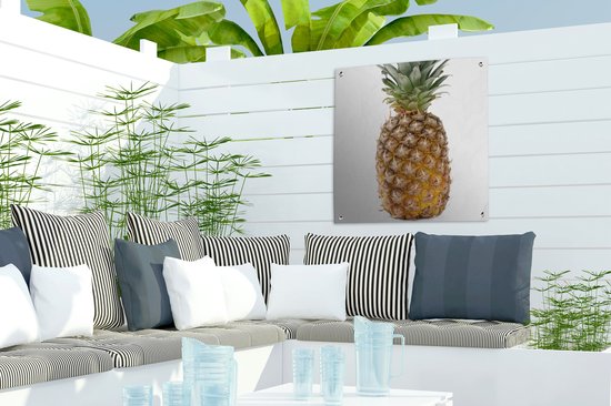 Posters de jardin Ananas - Fruit - Wit - 50x50 cm - Toile de jardin - Affiche extérieure
