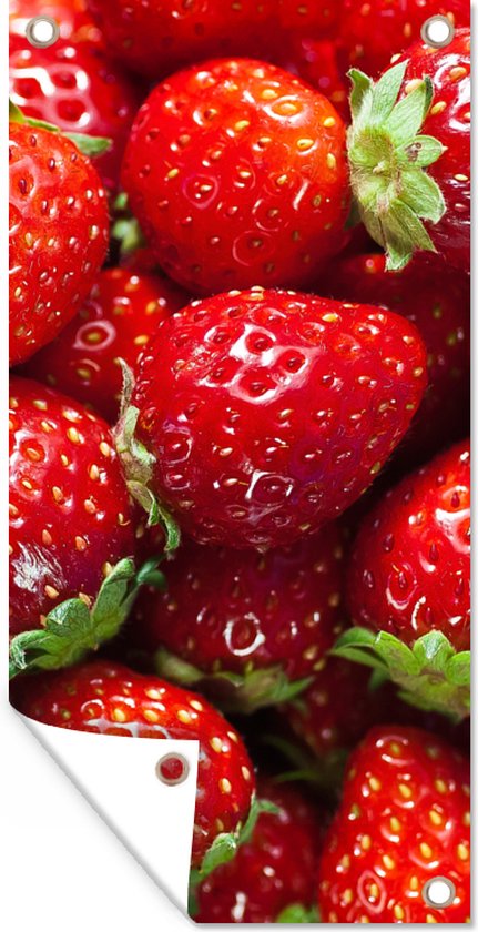 Tuinposter Aardbei - Fruit - Zaadjes - 40x80 cm - Wanddecoratie Buiten - Tuinposter - Tuindoek - Schuttingposter - Tuinschilderij