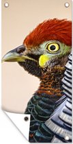Affiche clôture Faisan - Portrait - Vogel - 100x200 cm - Toile de jardin