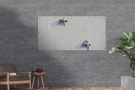 Décoration murale d'extérieur Deux tortues - 160x80 cm - Toile de jardin - Poster extérieur