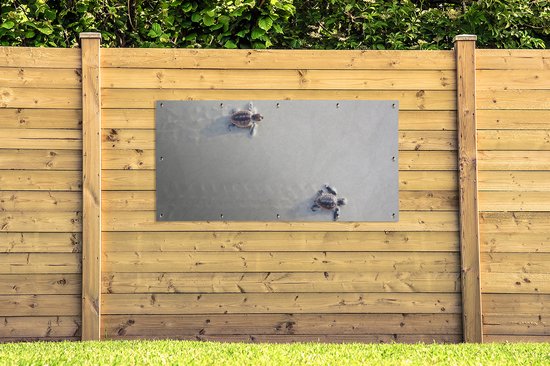 Décoration murale d'extérieur Deux tortues - 160x80 cm - Toile de jardin - Poster extérieur