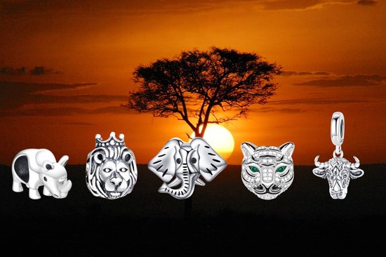 Charme de la nature et des Animaux | Charm lion | Tête de lion avec couronne  | Argent... | bol.com