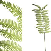 PTMD Fern Plant Varen Kunstblad - 85 x 25 x 140 cm - Groen