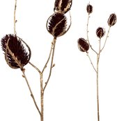 PTMD Twig Plant Eryngo Kunsttak - 33 x 13 x 61 cm - Wijnrood