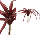 PTMD Succulent Tillandsia Pluk Kunstplant - 9 x 30 x 23 cm - Rood