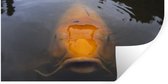 Stickers muraux - Une carpe koï géante dans l'eau - 80x40 cm - Film adhésif