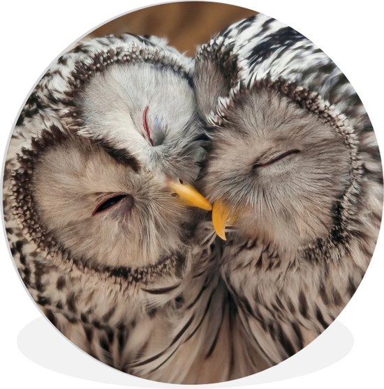 Wall Circle - Wall Circle Indoor - ⌀ 120 cm - Plastique - Hiboux - Vogels - Bec - Famille XXL