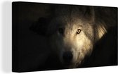 Canvas Schilderij Portret van een arctische wolf - 40x20 cm - Wanddecoratie