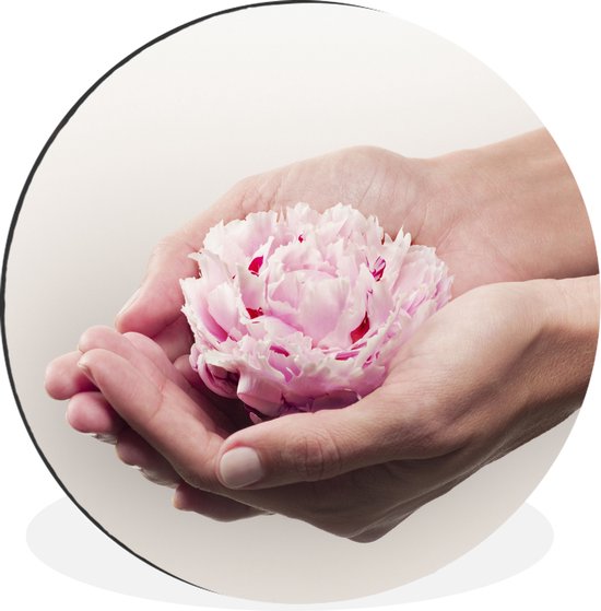 WallCircle - Tableau - Mains Tenant Une Pivoine Xxl - Multicolore - 120 X 120 Cm