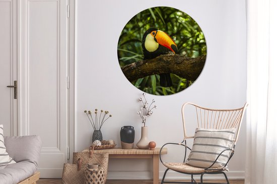 Toucan géant sur une branche Assiette en plastique cercle mural ⌀ 120 cm - impression photo sur cercle mural / cercle vivant (décoration murale) XXL / Groot format!