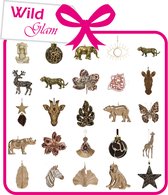 Versierpakket Wild Glam