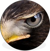 WallCircle - Wandcirkel - Muurcirkel - Close-up van een roofvogel - Aluminium - Dibond - ⌀ 90 cm - Binnen en Buiten