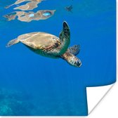 Poster Schildpad zwemmend in oceaan - 100x100 cm XXL