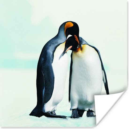 Poster Pinguïns - Sneeuw - Familie