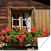 Poster Venster met geranium bloemen in bloei - 75x75 cm