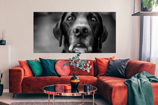 Poster Dierenprofiel labrador hond in zwart-wit - 160x80 cm - PosterMonkey