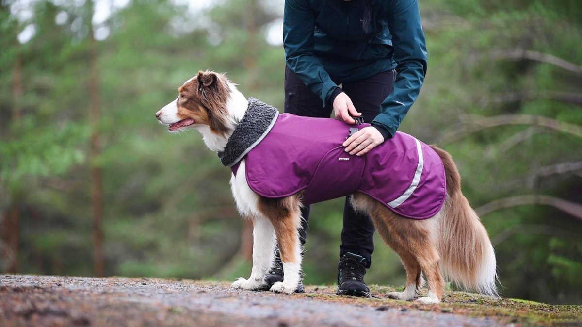 manteau pomppa chien