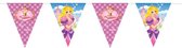 Vlaggenlijn Prinses 6 meter - meisjes vlaggenlijn - verjaardag - vlaggenlijn verjaardag - feest vlaggen - vlaggen - slingers - roze