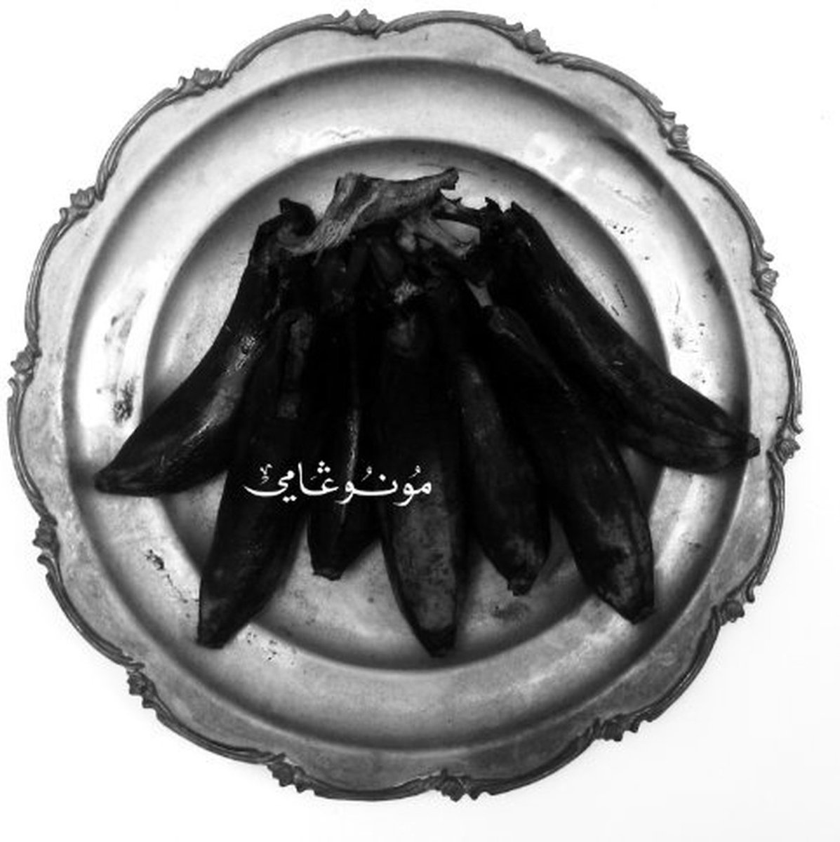 Land Of Kush's Egyptian Light Orchestra - Monogamy (CD)