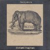 Michael Chapman - Pachyderm (CD)