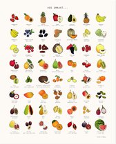 AAI - Poster - Hoe smaakt... Fruit - 40x50 cm