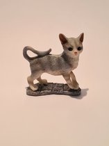 Sweet Lake Collection - Cat - Katten Beeldje - Verzamelen - Sparen - 6cm - Kat - 500381