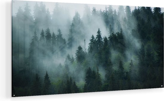 Artaza Glasschilderij - Bos Met Bomen In De Mist - 140x70 - Groot - Plexiglas Schilderij - Foto op Glas