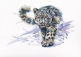 Snow Leopard Aida telpakket - RTO