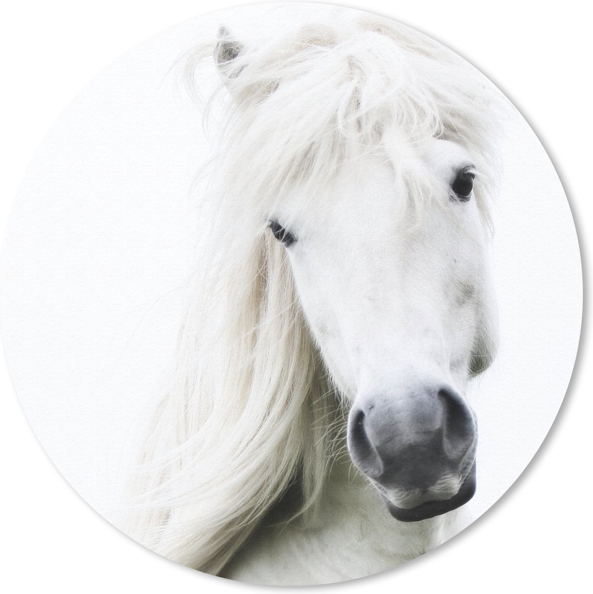Muismat - Mousepad - Rond - Paarden - Boerderijdieren - Manen - 30x30 cm - Ronde muismat