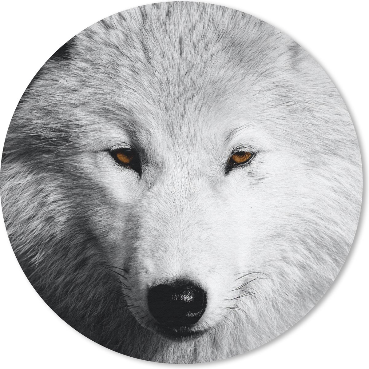 Muismat rond 40x40 cm - Mousepad Dichtbij weergeven wolf in zwart-wit - Ronde muismatten