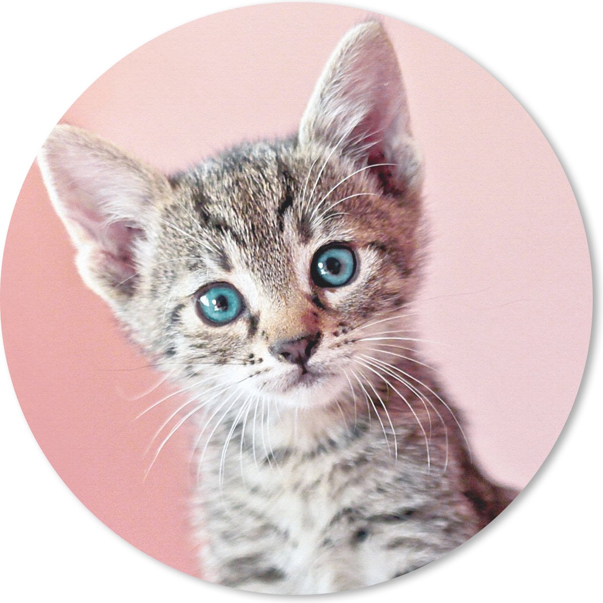 Muismat rond 30x30 cm - Mousepad Kitten - Blauw - Roze - Ronde muismatten