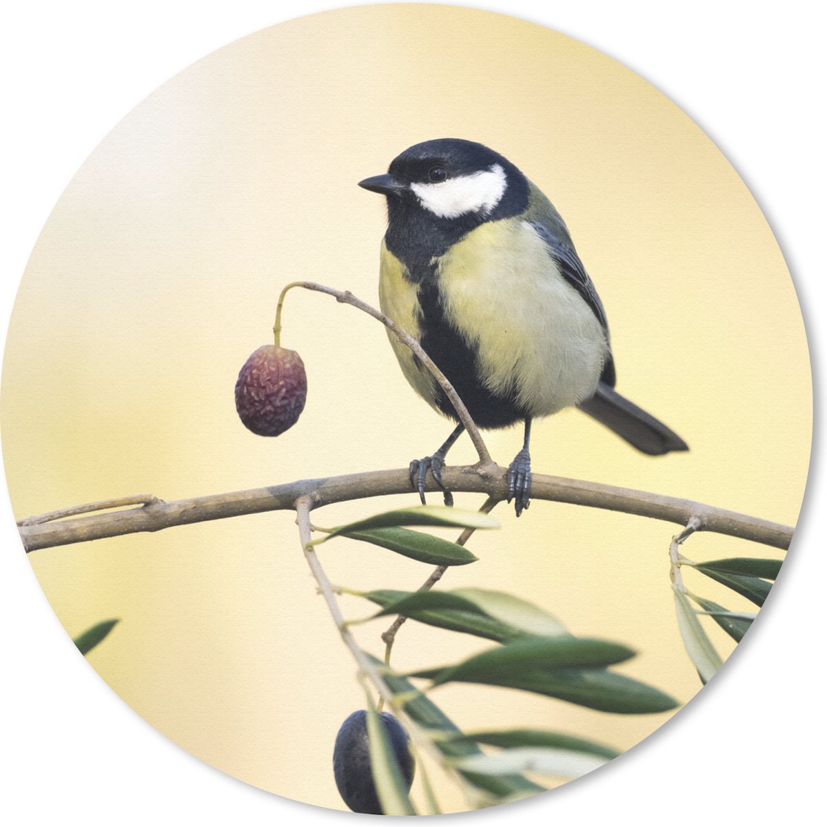 Muismat rond 40x40 cm - Mousepad Vogel op een tak met een bes - Ronde muismatten