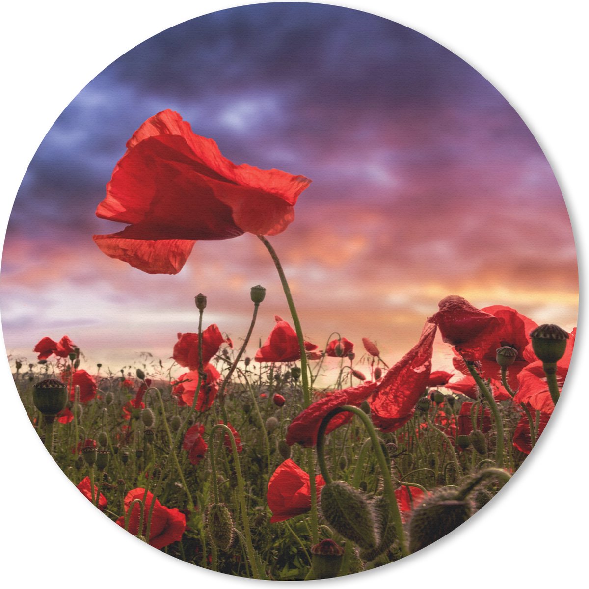Muismat rond 30x30 cm - Mousepad Klaproos - Bloemenveld - Rood - Ronde muismatten