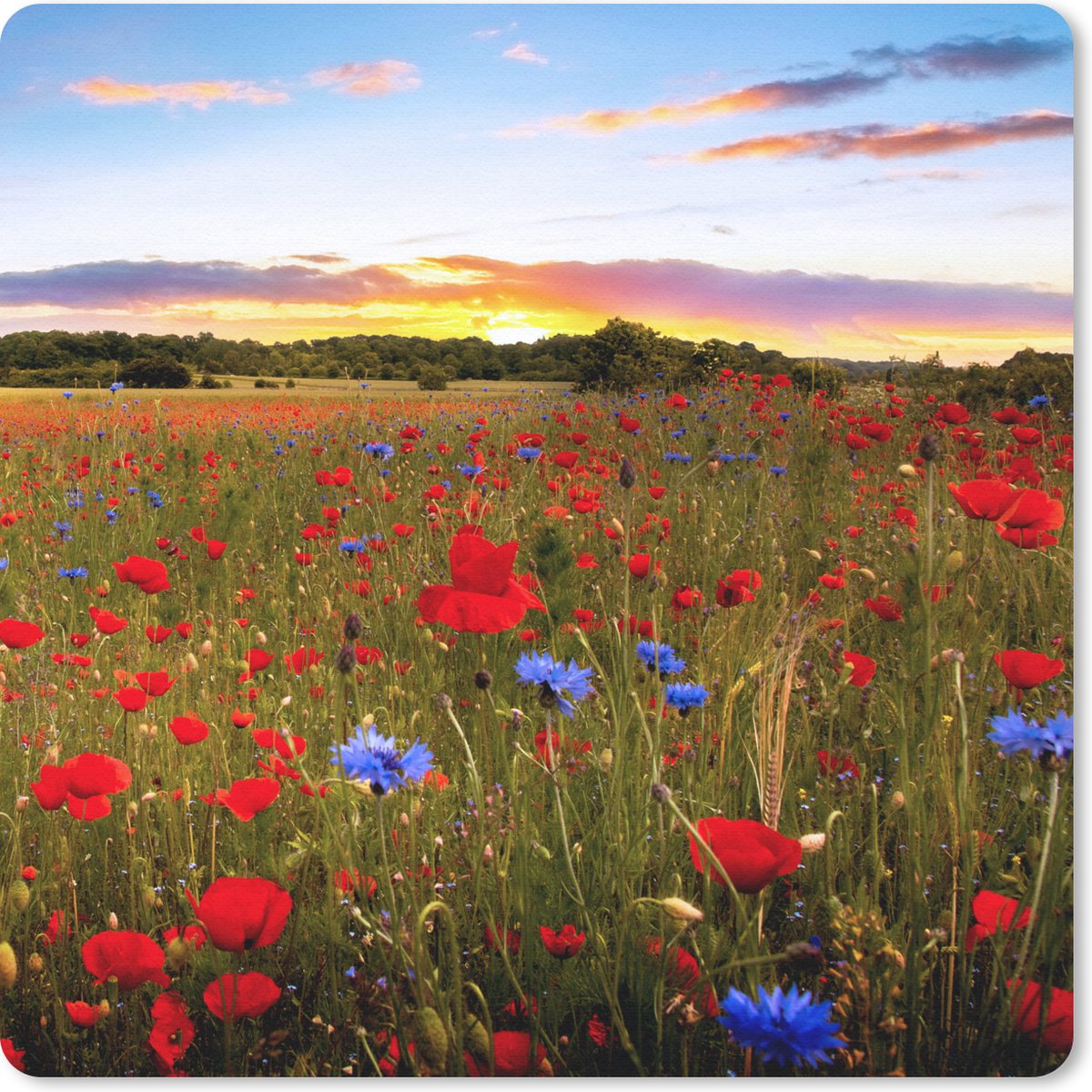 Muismat 30x30 cm - Mousepad Bloemenweide - Klaprozen - Rood - Muismatten