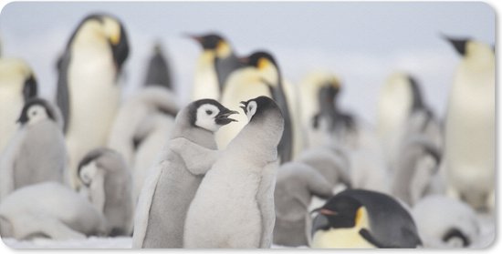XL tapis de souris avec des pingouins dans la neige.
