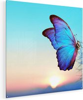 Artaza Glasschilderij - Blauwe Vlinder Bij Paardenbloemen  - 90x90 - Groot - Plexiglas Schilderij - Foto op Glas