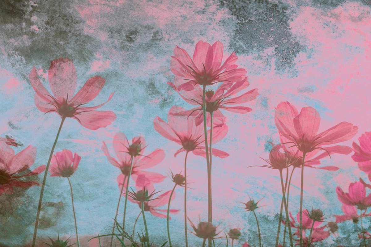 Fotobehang - Pink Flower Abstract 375x250cm - Vliesbehang