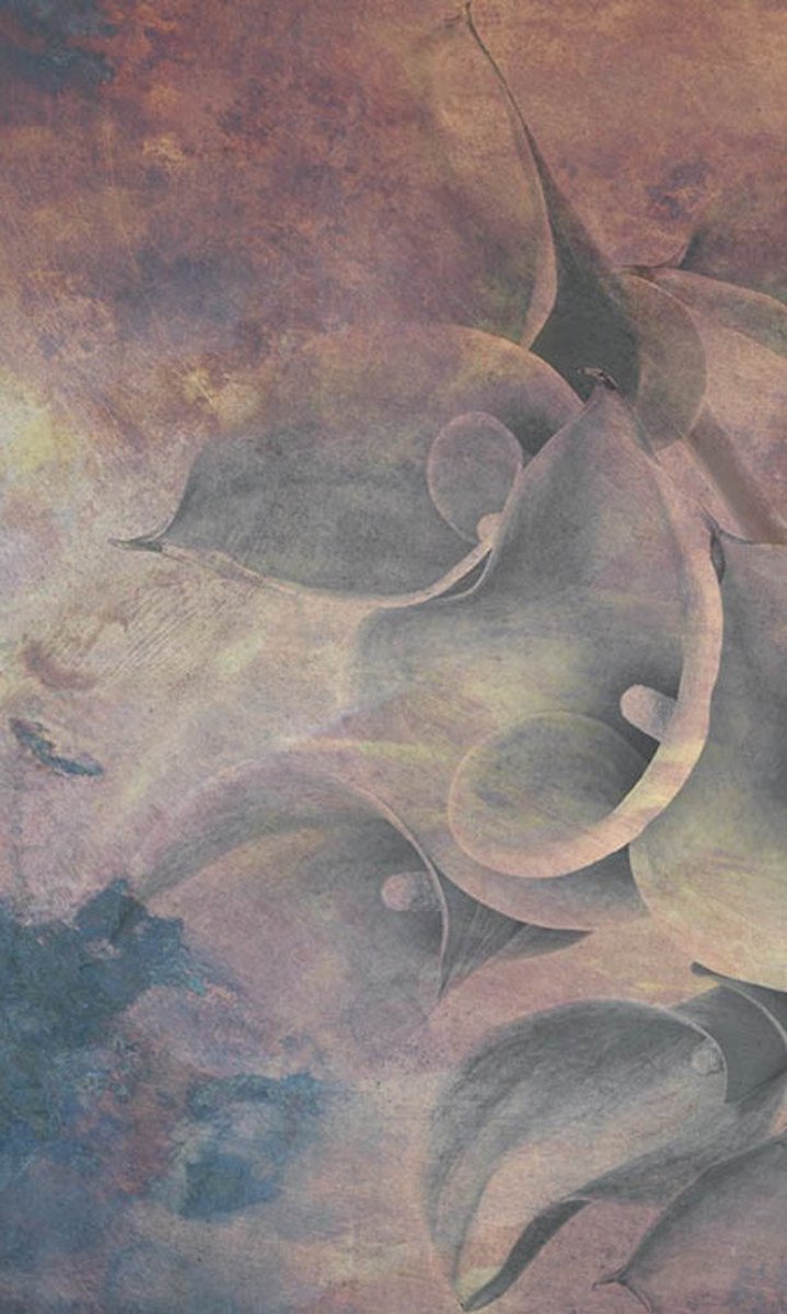Fotobehang - Flower Abstract I 150x250cm - Vliesbehang