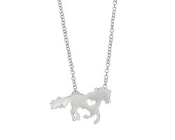 Halsketting met pony in paardenhoofddoosje