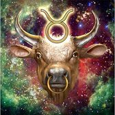 Denza - Diamond painting stier sterrenbeeld 40 x 40 cm volledige bedrukking ronde steentjes direct leverbaar - stier - os - sterren beeld - hoorns - unieke afbeelding