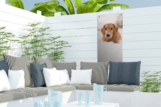 Affiche de jardin Chien - Neige - Hiver - 30x60 cm - Toile jardin - Affiche extérieure