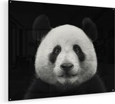 Artaza Glasschilderij - Panda - Pandakop  - 120x90 - Groot - Plexiglas Schilderij - Foto op Glas