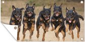 Tuinposter Rennende Rottweilers op een rij - 80x40 cm - Wanddecoratie Buiten - Tuinposter - Tuindoek - Schuttingposter - Tuinschilderij