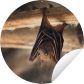 Garden Circle Bébé - Chauve-souris - Bois - 120x120 cm - Poster de jardin - XXL