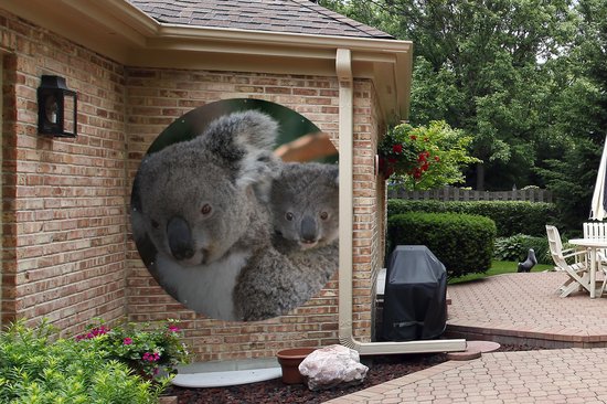 Garden Circle Koalas - Père - Enfant - Enfants - Garçons - Filles - 150x150 cm - Affiche Ronde de Jardin - Extérieur