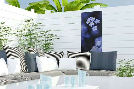 Affiche de jardin Gros plan d'un myosotis - 30x60 cm