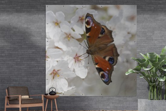 Poster Jardin Papillon paon sur fleur de cerisier - 200x200 cm - Toile jardin - Poster extérieur