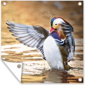 Serviette de jardin Canard - Animal - Water - Automne - 100x100 cm