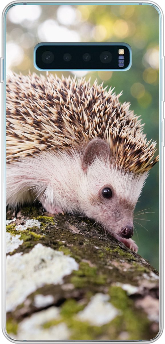 Telefoonhoesje Geschikt voor Samsung Galaxy S10 Plus hoesje - Baby - Egel - Boom - Siliconen Telefoonhoesje Telefoonhoesje