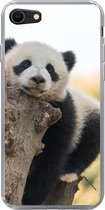 Geschikt voor iPhone SE 2020 hoesje - Panda - Boom - Licht - Siliconen Telefoonhoesje
